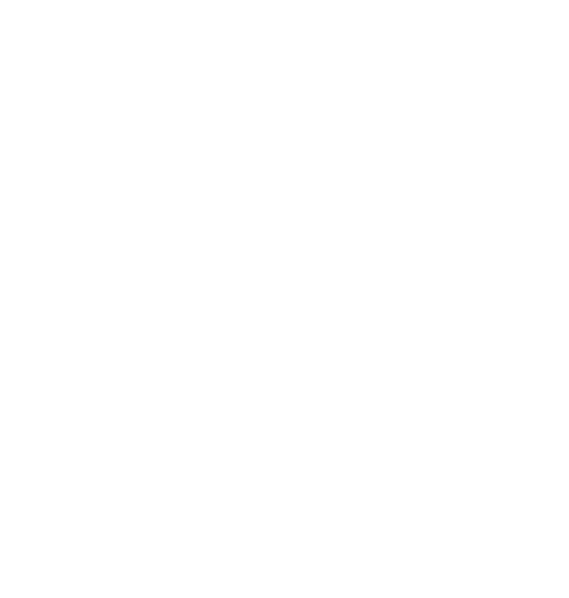 FH - Flavia Hattemer Logo
