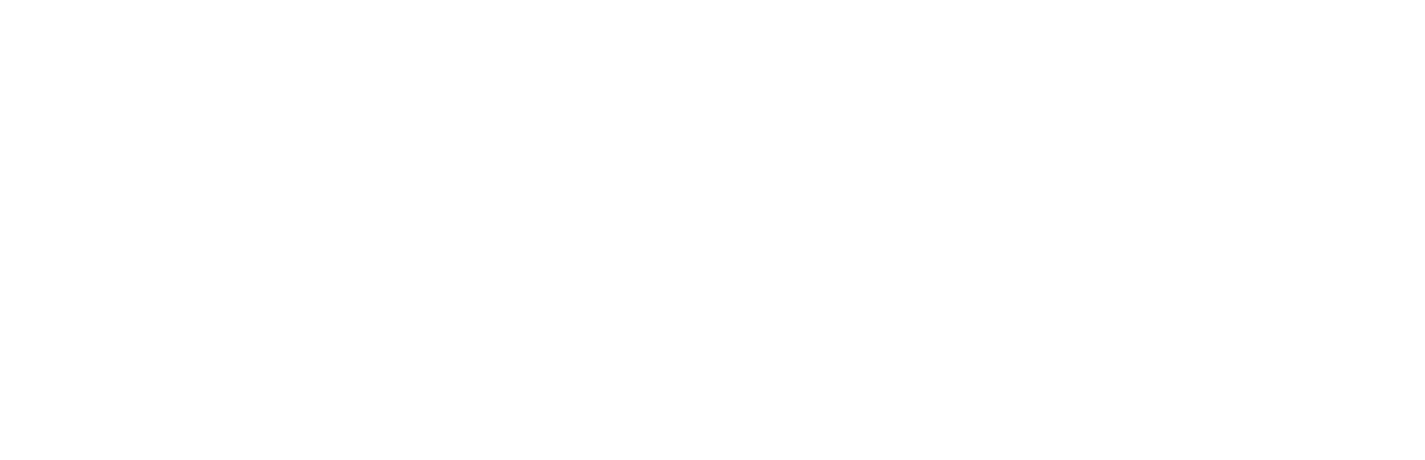 Firma oficial Flavia Hattemer